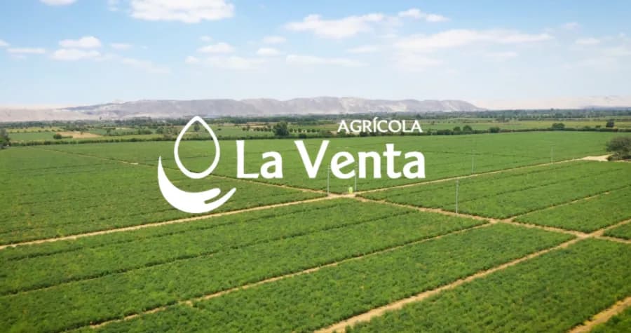 Proyecto Luciernaga 7